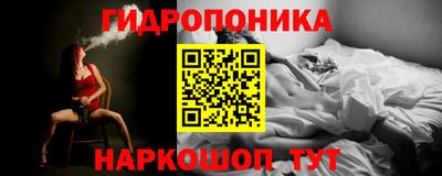 индика Заволжье