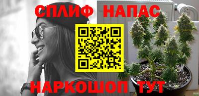 тгк Дубна